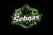 Elsebas_A