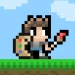 pixelcarvel