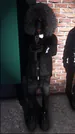 Snlpe54