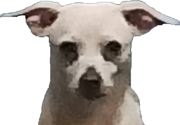 MKGreenZ4