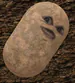 IMARFLN