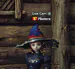 Piketera