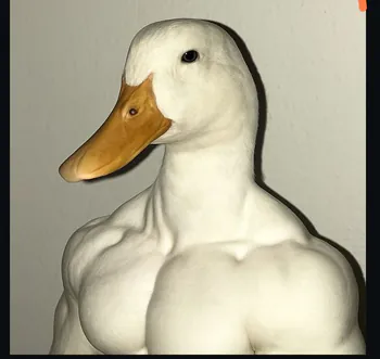 bbeholden