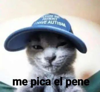 avar1cee
