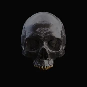 3D_GHOST4