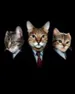 Topillas_3