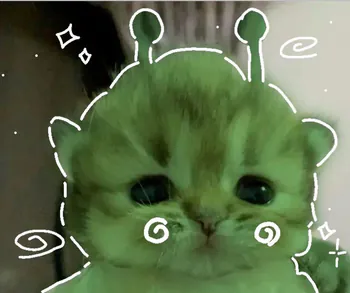 Artemis_xw