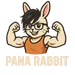 PanaRabbit15