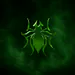 TheGreenSpidey