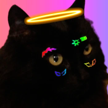Kick profile picture for @zknacho
