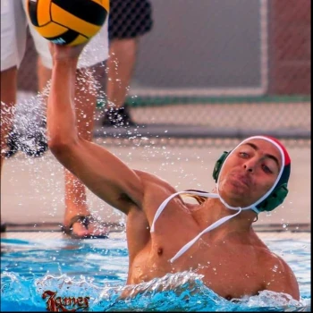 Kick profile picture for @tournament