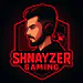 Shnayzer_gamer