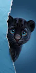 Sammetheking20161