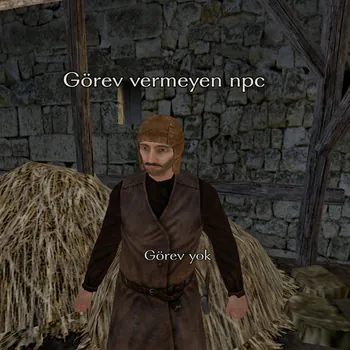 GorevVermeyenNPC