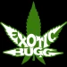 exoticbugg