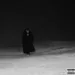 XXPAVLOSS