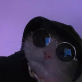 Daveek