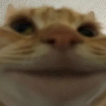 ArtemChoko28