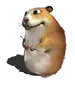 SLY_2k11