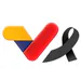 VTVCanal8