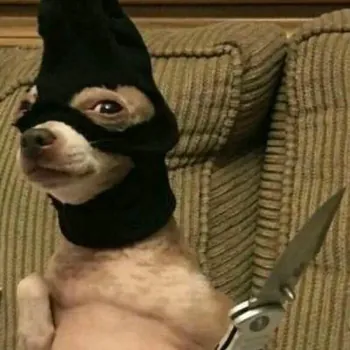 Juaneljardinero