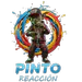 pintoreaccion