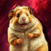 SoyIgnax