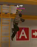 GGshCA