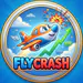 FlyCrash