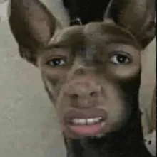 GienekLOL