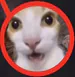 Ogimbroke