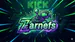 ZarnEfs