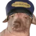 olakickchat