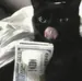DZ_deals