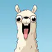 jeffeinstein