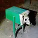 Keka_k