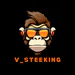 V_Steeking
