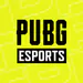 pubgesportsbra