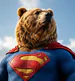 FavBear