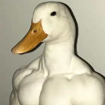 yenokz